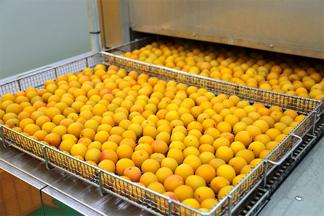 過熱蒸気による製造工程